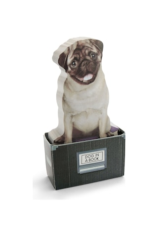 Mustard Dog İn A Box Yapışkanlık Not Kağıdı