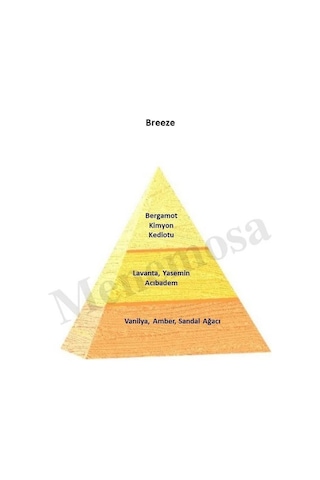 Bargello Breeze + Breeze Erkek Parfüm Edp Oriental- Mnmsbrz2 Odunsu - Oryantal
