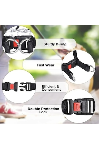 Dancemonkey Köpek Çivili Tasma, Pratik Tokalı Ve Uzunluk Ayarlı