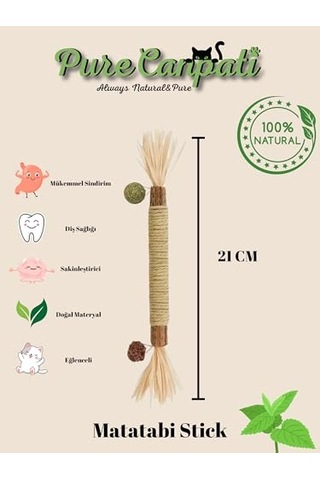 Greenwich Organik İçerikli Kedi Köpek Temizleme Köpüğü 150 Ml Pati Ve Vücut Kuru Şampuan Kaşıntı Tahriş Ve Koku Giderici Vegan