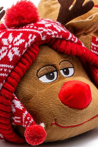 Anna Kadın Hayvanlı Panduf Kahverengi 36/41 Kahve