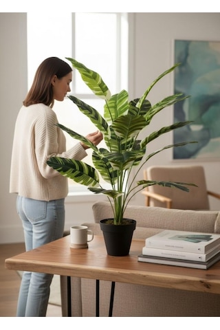 Yapay Çiçek Çizgili Muz Yapraklı Alaca Starliçe Salon Çiçeği 18dal 80 50cm Yapay Bitki Yeşil
