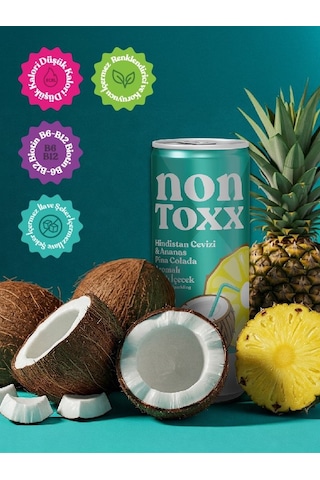 Nontoxx Hindistan Cevizi & Ananas Aromalı, Sirkeli, Gazlı İçecek 250 Ml