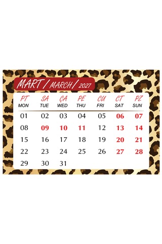2027 Leopar Masa Takvimi 10x15 Cm Ebat-mini Şövalesi İle Birlikte Diğer