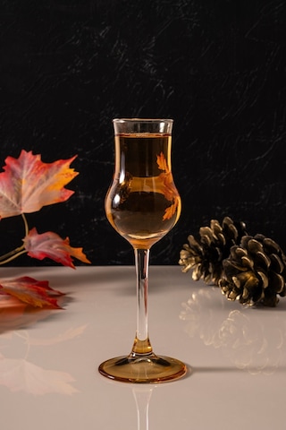 Mest 6 Adet Ayaklı Kahve Yanı Su Bardağı Seti Bal Renk 95 Cc Bal Renk