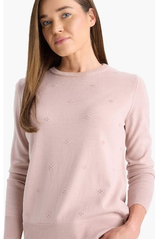 Defacto Regular Fit Bisiklet Yaka Triko Kazak F4084ax25wnpn681 Pembe