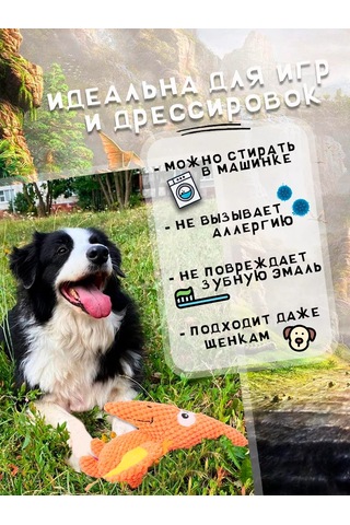 Zoolend Köpekler İçin Oyuncak, Yumuşak, Dinozor 269548832