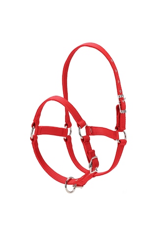 Aubyhe Kırmızı M Boyu At Kepçesi - 6mm Kalın Pp + Nikel Kaplı Demir + Çinko Alaşımlı, Ayarlanabilir Ve Dayanıklı