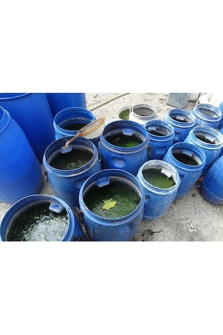 Sıvı Deniz Yosunu 1 Litre Dem Alg(Tüm Bitkilerde Kullanılabilir)