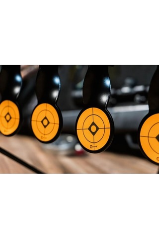 Caldwell Airgun Resetting Target Havalı İçin Otomatik Resetli Hedef 820585