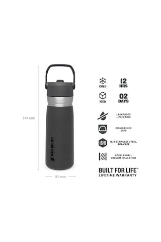 Stanley 0.65 L Füme The Iceflow Pipetli Paslanmaz Çelik Soğuk Su Termosu