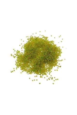08 Kum Boncuk İçten Boyalı Fıstık Yeşil 3 Mm 80 Gr