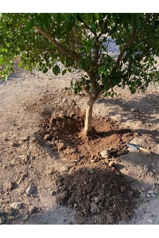 İsonem Soil Water Trap Toprak Altı Su Tutucu 5 Kg