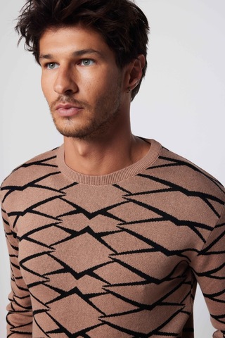 Tudors Erkek Slim Fit Dar Kesim Bisiklet Yaka Jakarlı Vizon-siyah Kazak-28904-multi Siyah