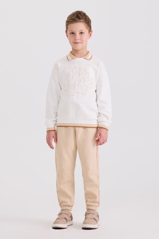 Panço Erkek Çocuk Yaka Detaylı Beyaz Sweatshirt 2611BK08004