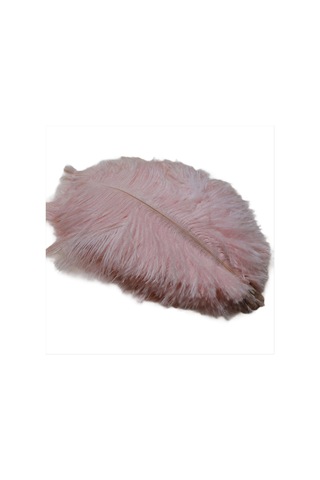 Gatherco 20-25 Cm Devekuşu Tüyü Sahne Performansları Tüyleri El Yapımı Kendin Yap Takı Süslemeleri Devekuşu Tüyleri Açık Pembe