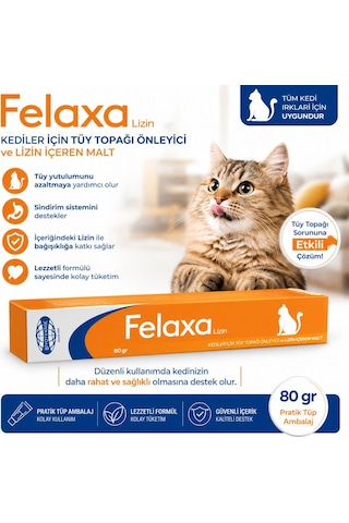 Biyoteknik Felaxa Lizin Oral Pat Malt 80 Gr