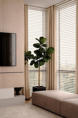 N.luxury Kırık Beyaz 50mm %100 Gerçek Ahşap Jaluzi Perde Redüktörlü Zincir Mekanizmalı Ofis/ev Tüm Mekanlar Kırık Beyaz