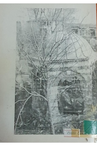 Turgut Reis,Ali Rıza Seyfi