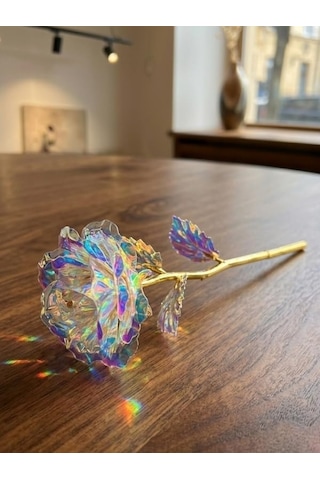 Dekoratif Galaksi Gül, Işıltılı Holografik Yapay Gül, Altın Renk Gövdeli Renk Değiştiren Tasarım Gül, Sevgililer Günü, Yıldönümü Ve Doğum Günü İçin Romantik Hediyelik 20beyazcipso