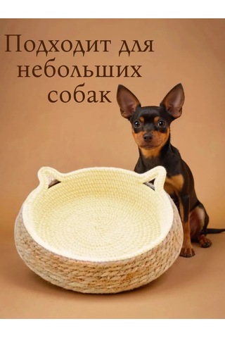 Vektorı Kediler Ve Köpekler İçin Tırmalama Tahtalı Yatak 463888975