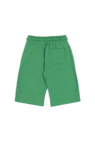 U.S. Polo Assn. Erkek Çocuk Yeşil Örme Şort 50279616-VR054