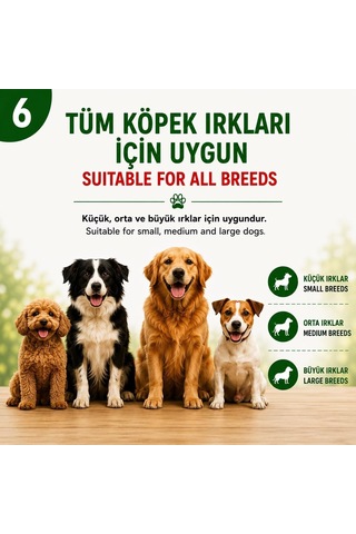 Freshy Rabbit Ear Whit Duck Ördek Eti Kaplı Tavşan Kulağı 100 Gr 8'li