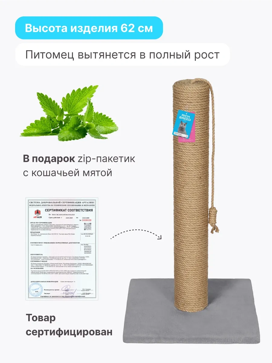 Rıch Breed Kedi İçin Tırmalama Direği Ayaklı Masa 37412029