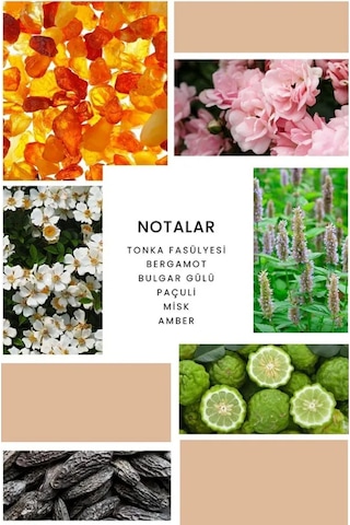 İxora Nora Body Mist Kadın 200 Ml