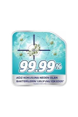 Corega Diş Protez Temizleme Tableti 108'li Ekonomik Paket Nane Ferahlığı