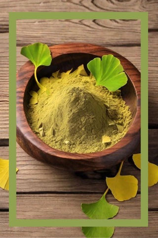 Organik Ginkgo Biloba Tozu 100g, Premium Herbal Gingko Biloba Powder, Organik Vegan Katkısız