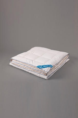 OTHELLO CLIMA MAX YORGAN 155*215