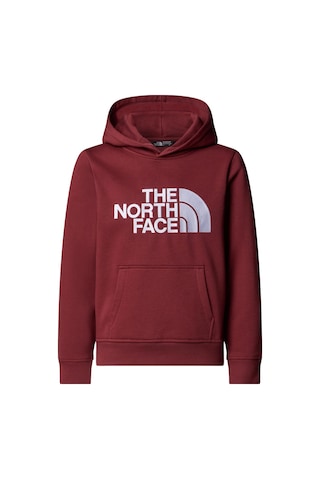 The North Face Teen Drew Peak Pullover Hoodıe Genç Çocuk Sweatshirt Nf0a8ehh0vo1 Çok Renkli