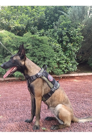 Tactical Göğüs Tasması Taktik Tasma Haki