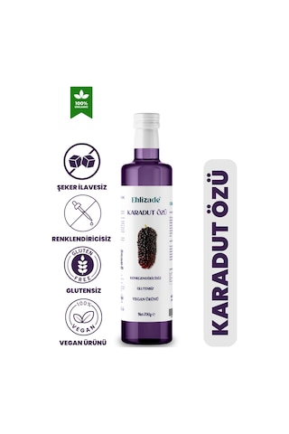 Ehlizade Karadut Özü 700 G