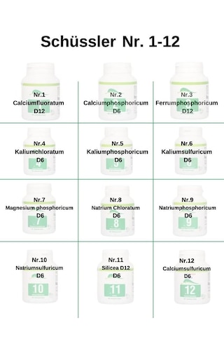 Schüssler Tuzları Nr.12 Fonksiyonel Ekonomik Set 12 Kutu