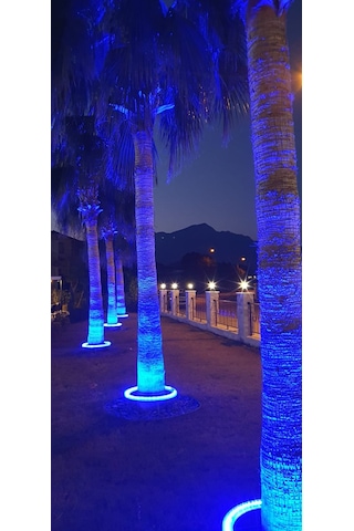 Palmiye Çember Aydınlatma Ip67 50cm
