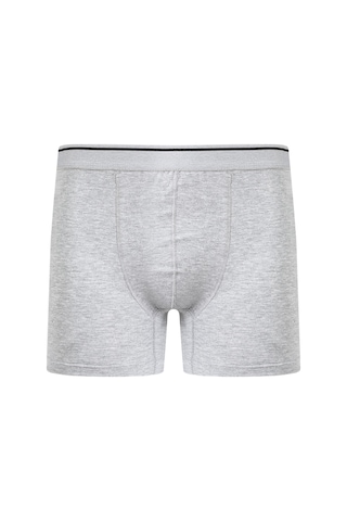 Akbeniz Erkek Pamuk Likralı Boxer Gri 40133-Gri