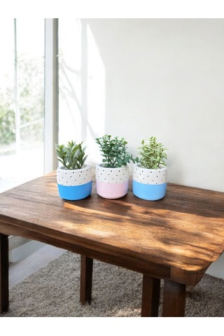 Renkli Saksı Seti Sukulent Kaktüs Dekoratif Eşya- Ev Dekorasyon - Saksı Seti 4