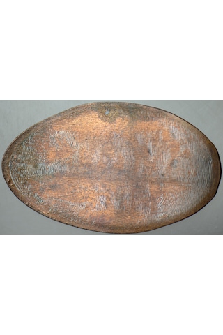 Amerika Doğal Tarih Müzesi Hatıra Pressed Coin.