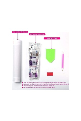 Novahub Maine Coon Kedi 5d Elmas Boyama Mozaik Nakış İğne Dıy Set