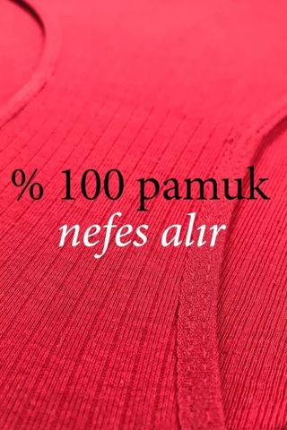 Najmaddin.com Beru 4 Adet Kadın Yüksek Bel Ribana Bato Külot S042 Standart