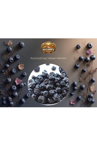 Kadirlihazarbey Kurutulmuş Yaban Mersini 100 Gr 100 G