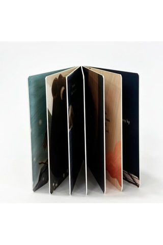 Sincap Kitap Senses - Baby University First Concepts Stories 2