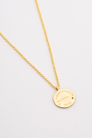 Kova Burcu 18 Ayar Sarı Altın Kaplama 45 Cm Gümüş Kolye Sarı