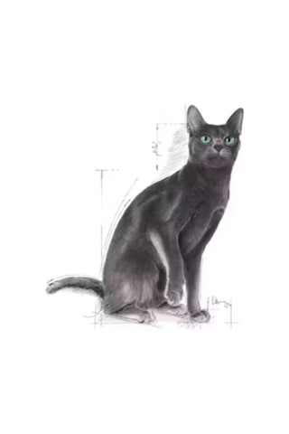Sterilised37 Kısırlaştırılmış Kediler Için Kuru Kedi Maması 400g 2x Adet