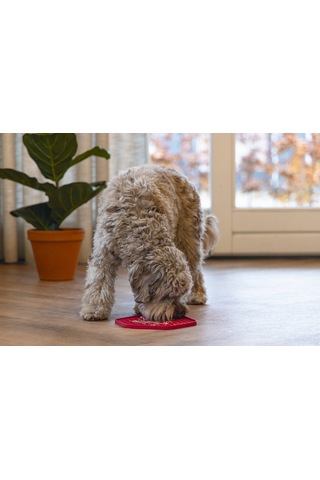 Beeztees Yavru Köpek Yaş Mama Yeme Oyuncağı, Sekizgen Şeklinde, Silikon, Pembe, 23x20cm