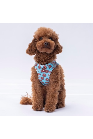 Pawstar Air-mesh Bears Köpek Göğüs Tasması Xs Genel