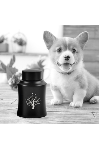 Homyl Pet Urn Kremasyon Hatıra Çömlekleri Kutusu Büyük Altın