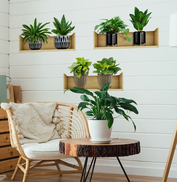 Raflı Bitki Tasarımlı Yapışkanlı Sticker 20 30 Cm 3lü Set 4741 Akçaağaç